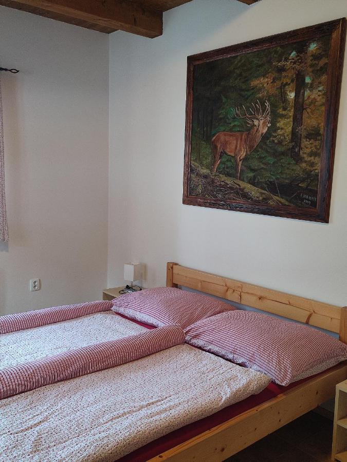 apartmány pod Vysákem Stárkov Exterior foto